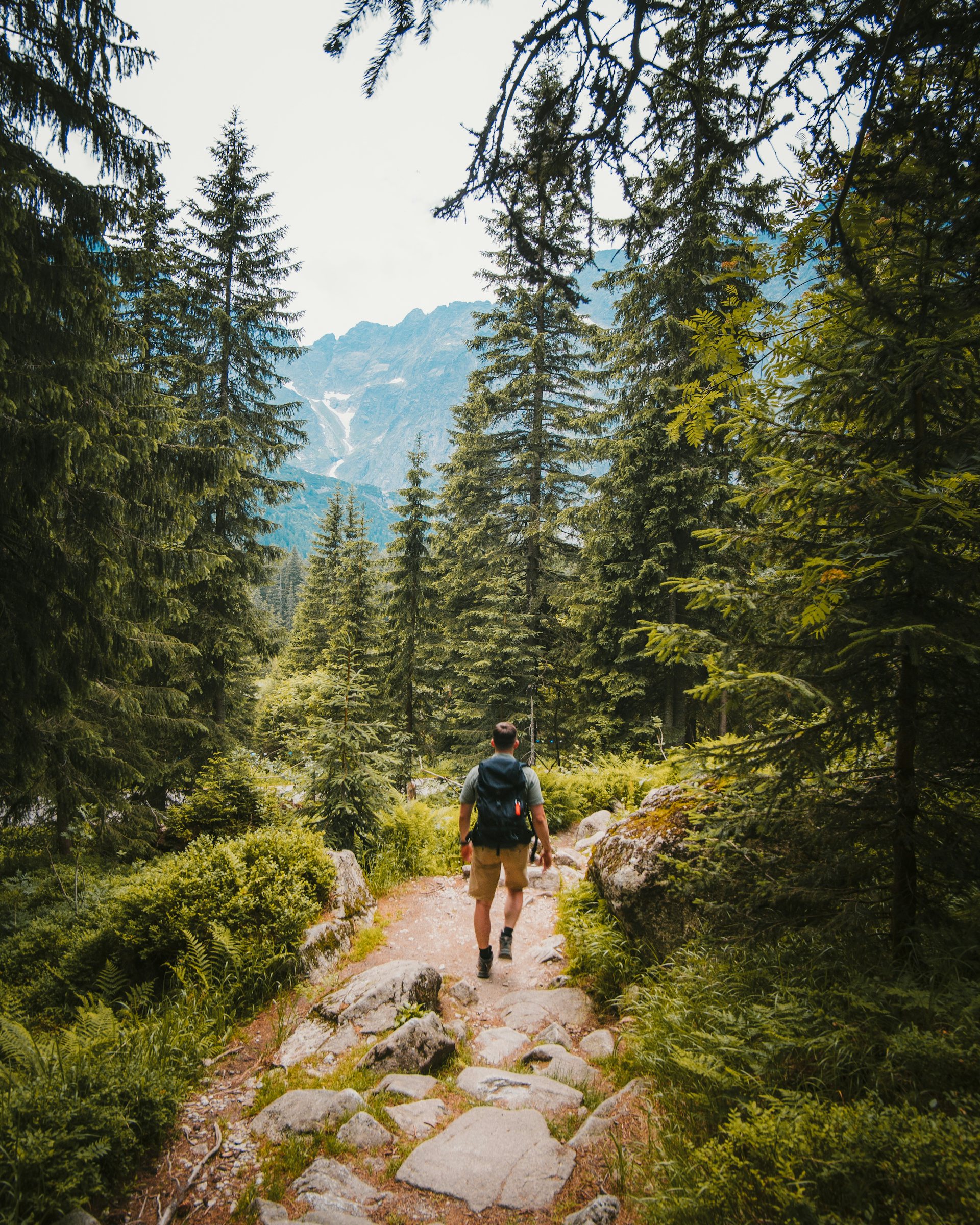 Trilheiro caminhando na montanha
